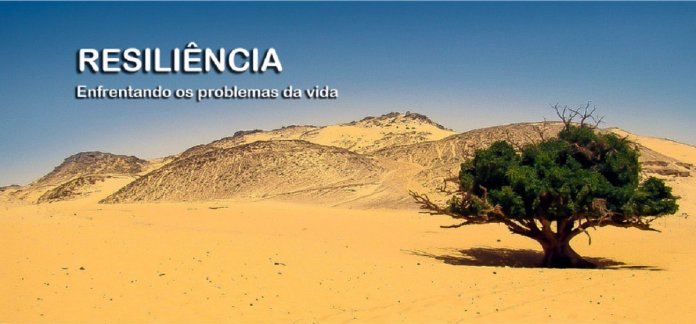 resiliencia1