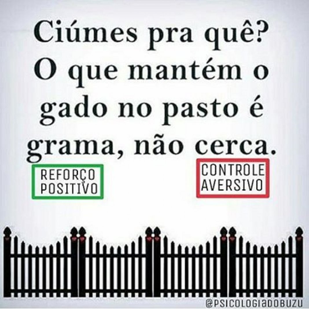 O Poder do Reforço Positivo