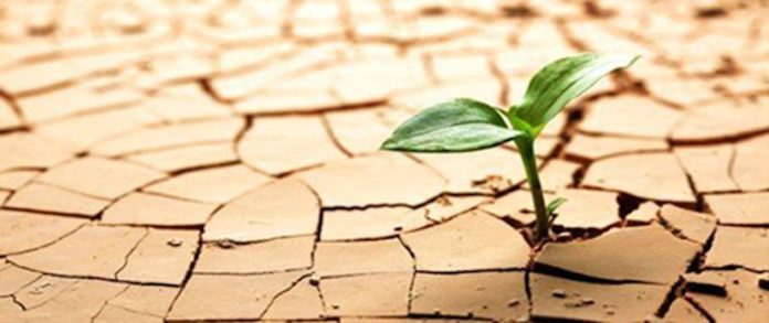 resiliencia