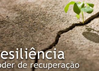 Tudo que você precisa saber sobre Resiliência