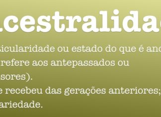 ANCESTRAIS – AS RAÍZES