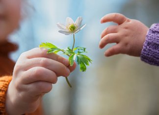 E se as escolas ensinassem generosidade?