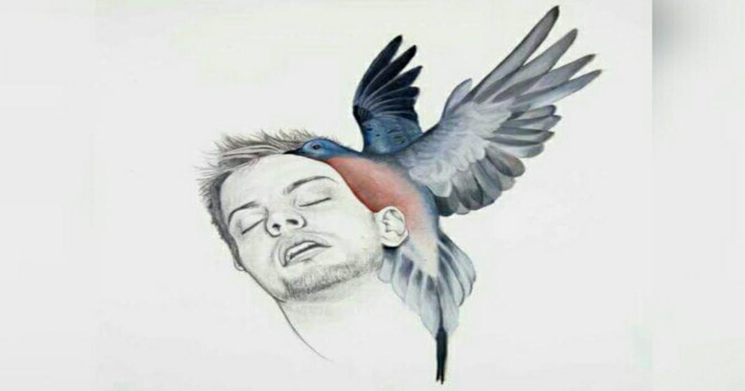 “E se no lugar do coração tivéssemos um pássaro?”