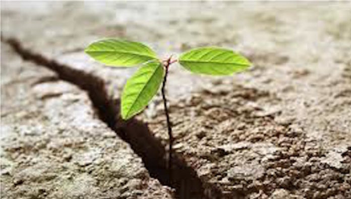 resilience