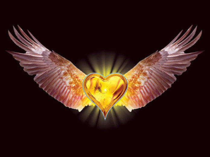 heart5a-696x522