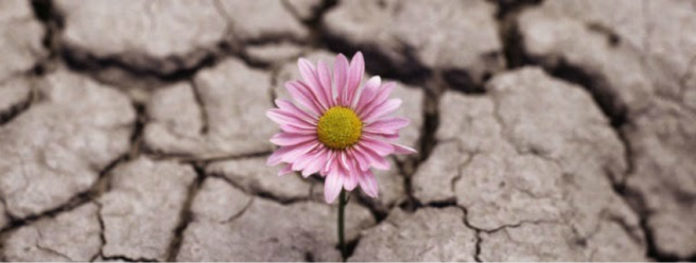 resiliente