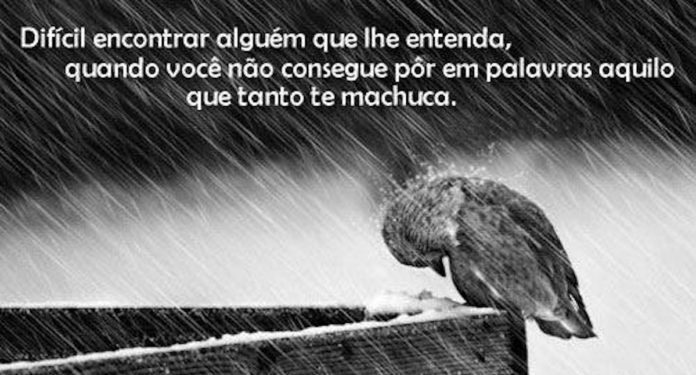20141121-dificil-encontrar-alguem-que-lhe-entenda-quando
