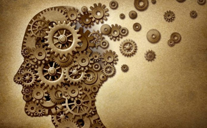 brain2