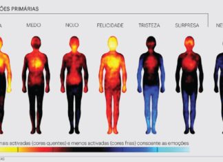 O Corpo Emocional – Corpo de Sentimentos