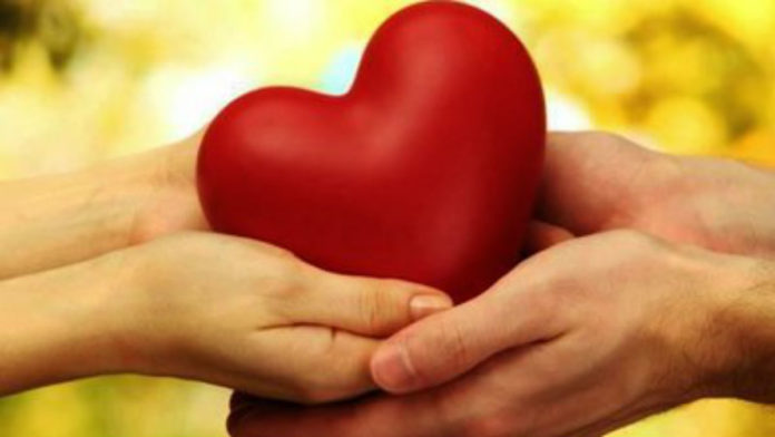 amor3