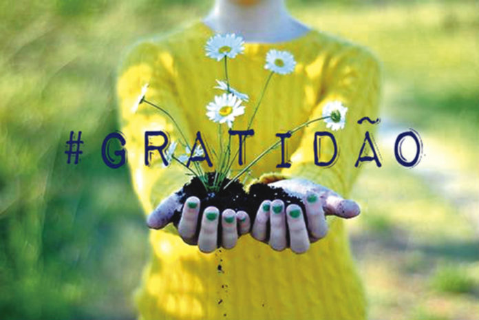 gratidao