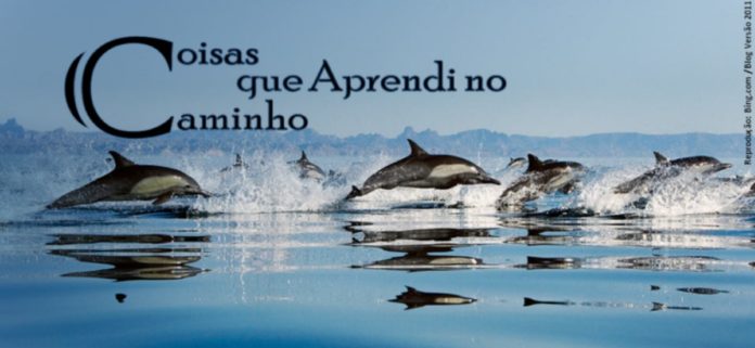 que Aprendi