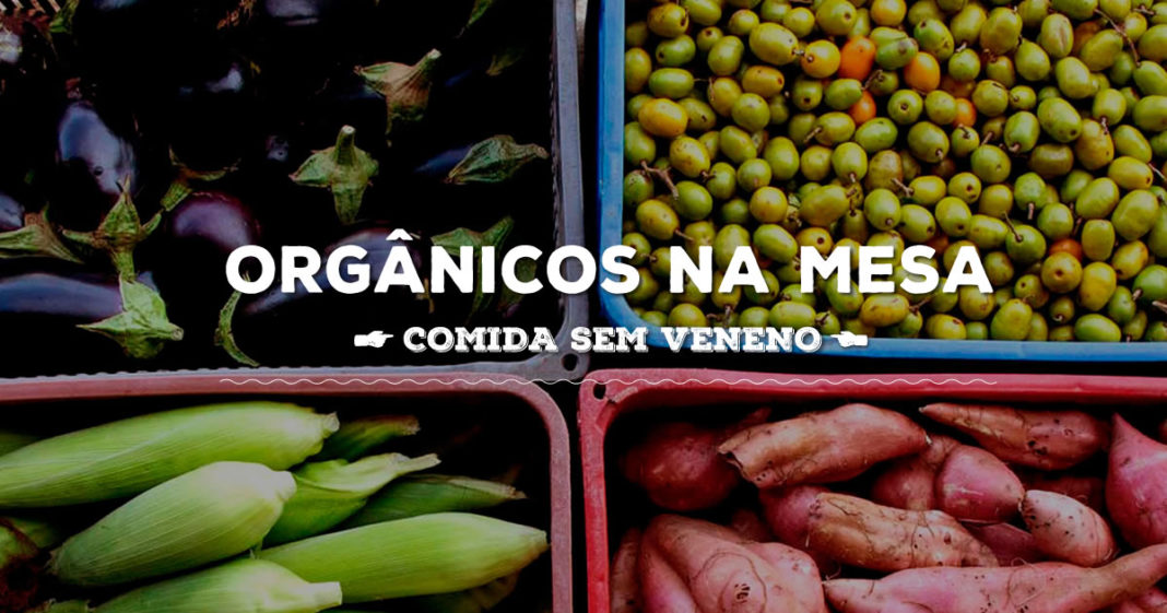 Alimentação Orgânica