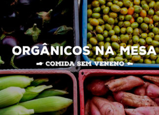 Alimentação Orgânica