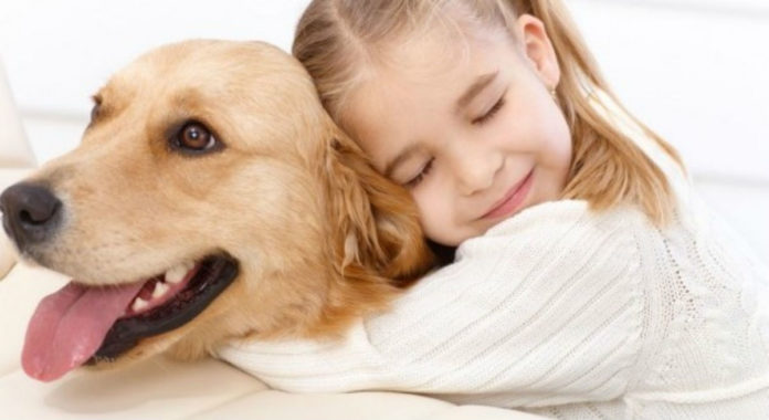 cachorros