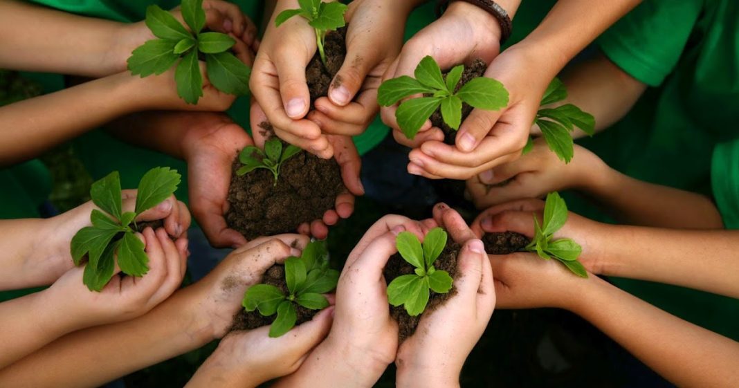 7 atividades sobre a natureza para explorar nas férias