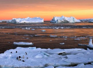 Antártica é mais vulnerável ao aquecimento do que se pensava