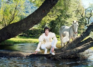 NÃO PRECISA VIR EM UM CAVALO BRANCO, SÓ NÃO SEJA UM CAVALO