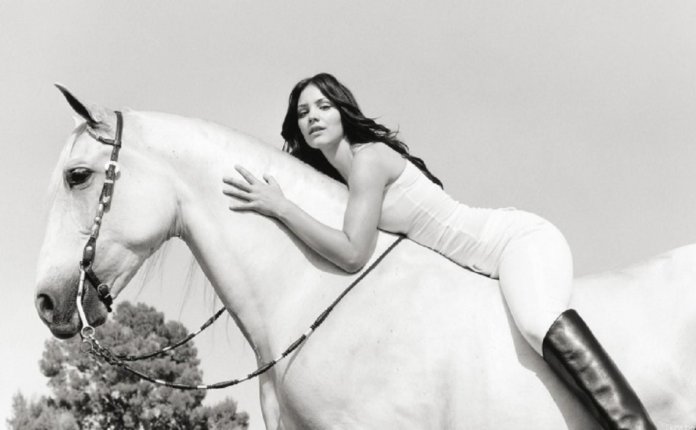 cavalo