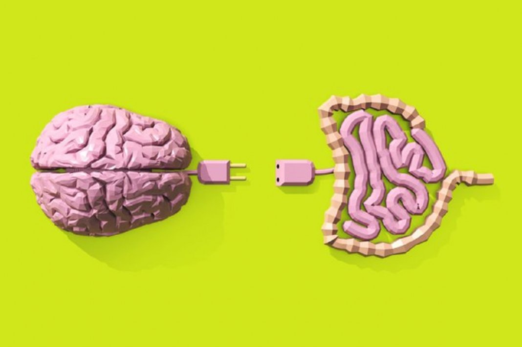 A incrível conexão cérebro-intestino
