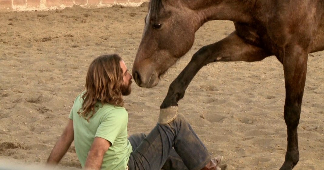O que cair do cavalo me ensinou sobre o amor