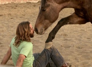 O que cair do cavalo me ensinou sobre o amor