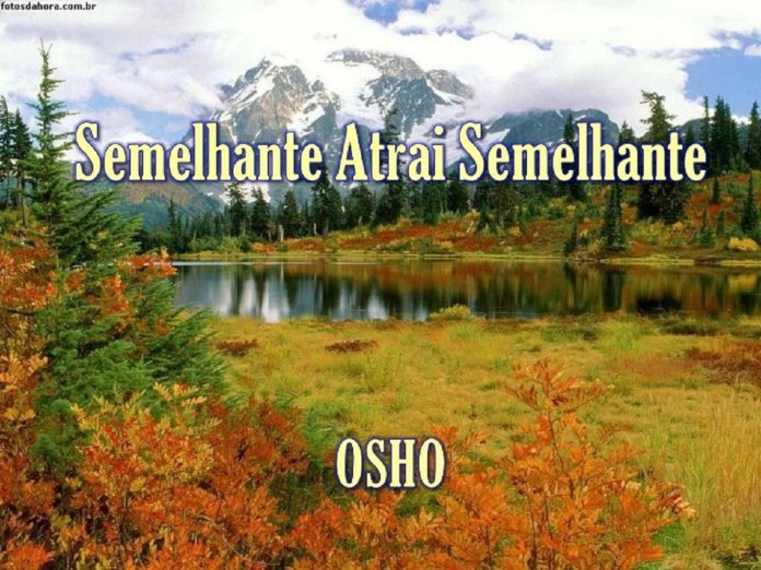semelhante