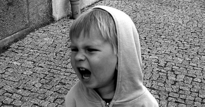 VLUU L100, M100 / Samsung L100, M100