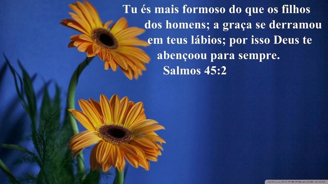 Salmo 45: Para superar dificuldades nos campos profissional, emocional e espiritual.