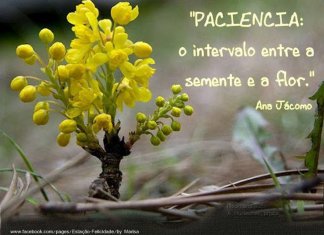 O valor da paciência
