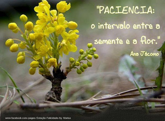 INTERVALO
