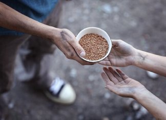 A mudança nasce com o seu exemplo, não com a sua opinião