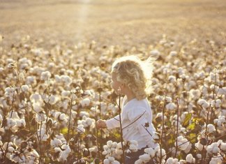 “O tempo não para! Só a saudade é que faz as coisas pararem no tempo…”