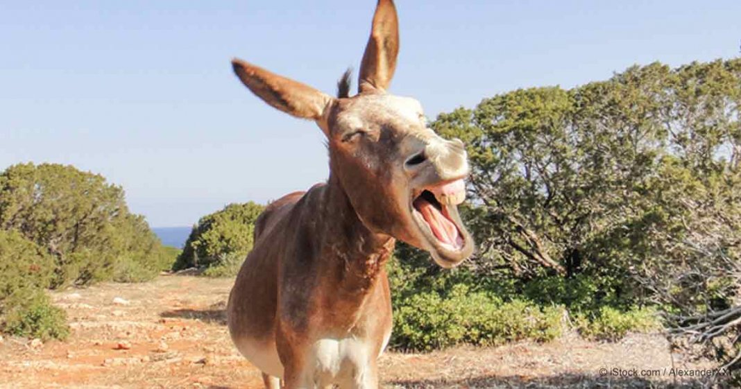 VOCÊ É O BURRO DE CARGA DA RELAÇÃO?