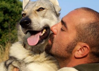 Enquanto você não amar um animal, sua alma estará adormecida