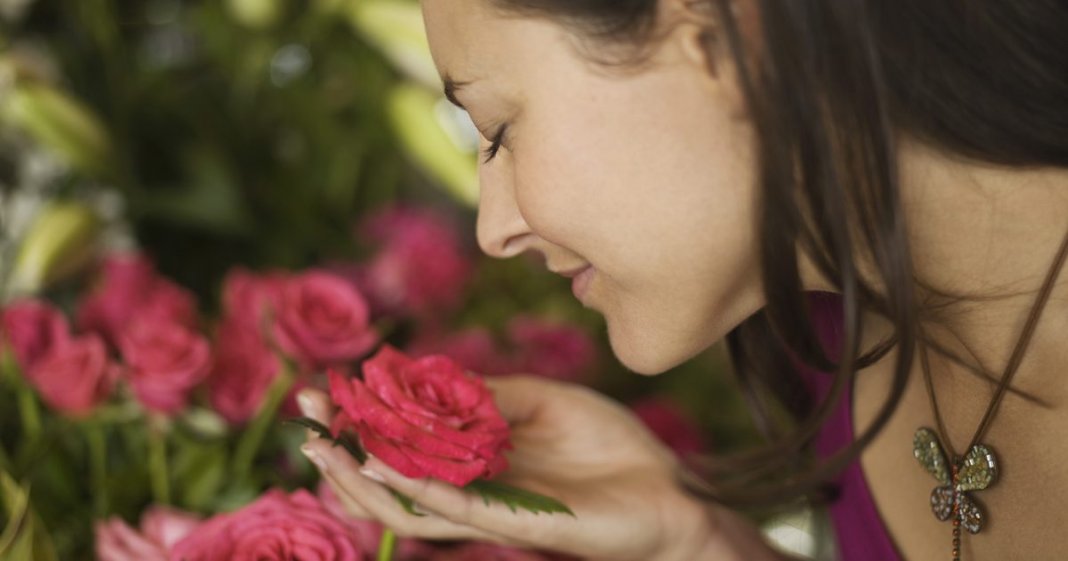 Deus nunca me deixou ao relento. Ele me ensinou que onde se planta a semente do bem, a vida floresce…