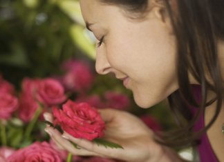 Deus nunca me deixou ao relento. Ele me ensinou que onde se planta a semente do bem, a vida floresce…