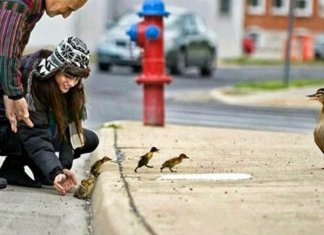 Por um mundo mais gentil! – A gentileza nos dá serenidade.