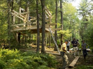 resilienciamag.com - Moradores de Nova York constroem comunidade na floresta para fugirem nos fins de semana