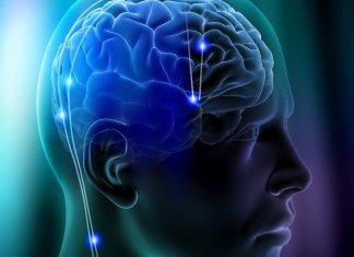 Neurocientistas confirmam: em 21 dias você reprograma o seu cérebro!