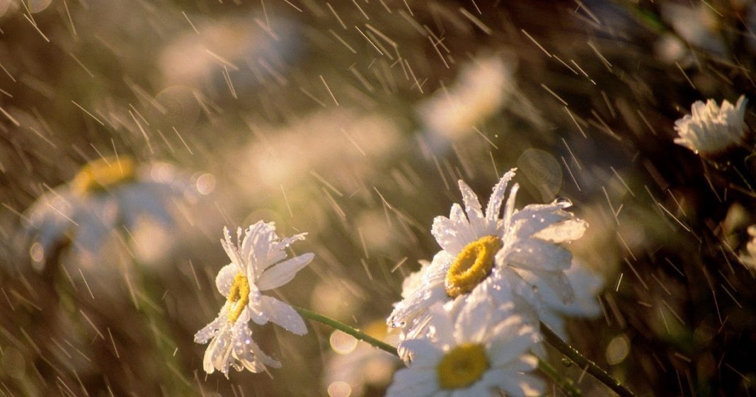 Se não me quis sob chuva, não apareça quando fizer sol