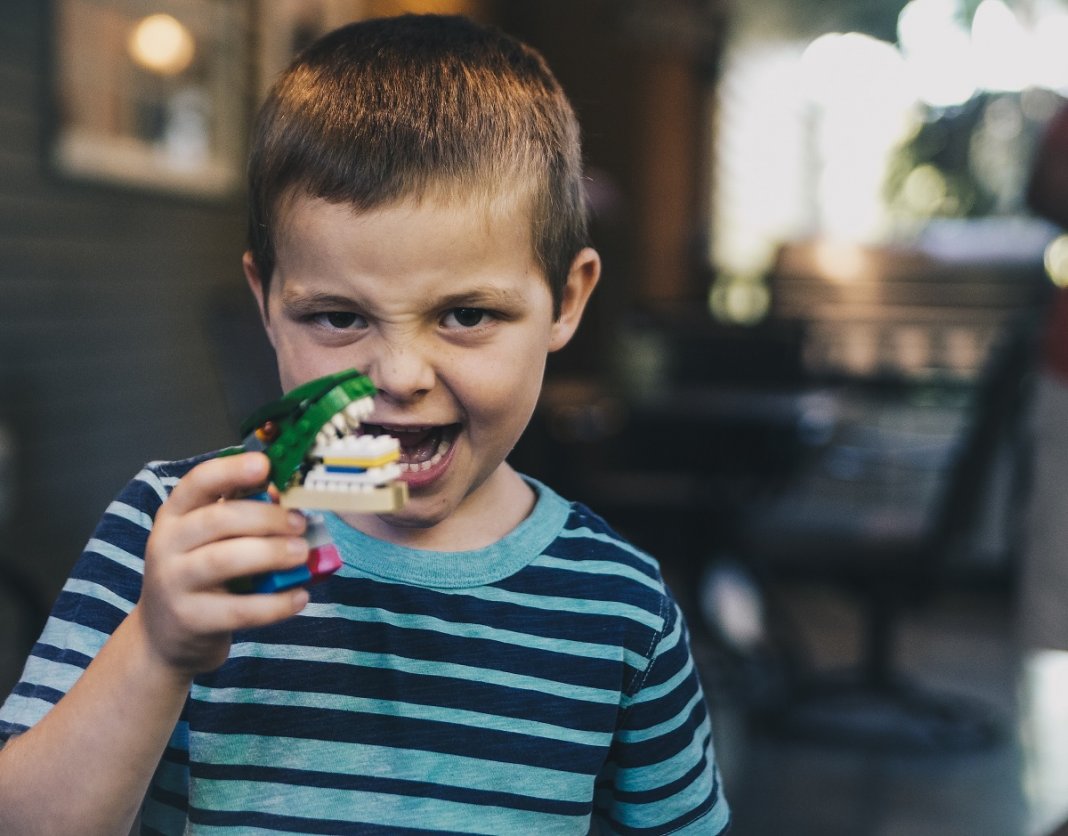 Paixão por dinossauros aumenta a inteligência infantil