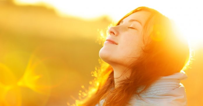 The autumn flower of sun flare.