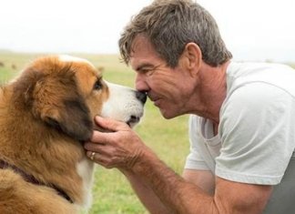 CACHORRO TEM ALMA por Fabrício Carpinejar