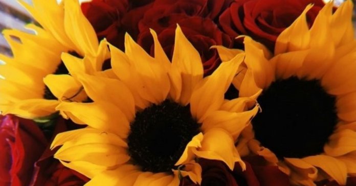 PicsArt_02-21-11.30.48