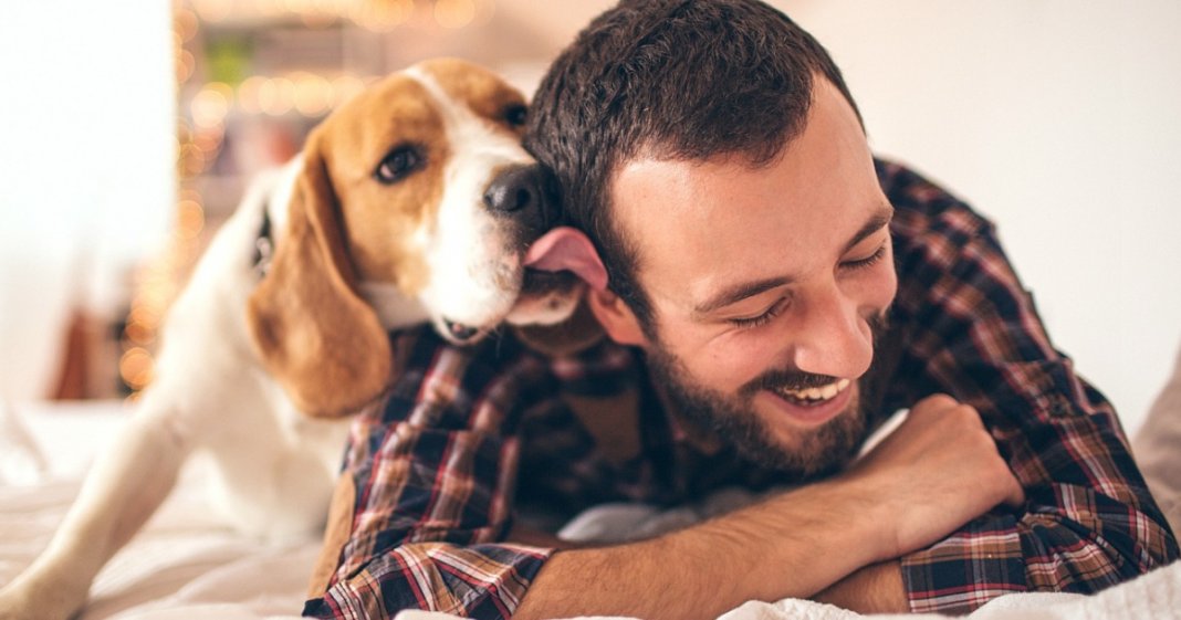 Quer ser mais feliz? Tenha um animal de estimação!