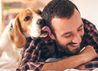 Quer ser mais feliz? Tenha um animal de estimação!