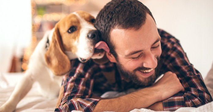 quer-ser-mais-feliz-tenha-um-animal-de-estimacao