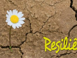 Resiliência, seja forte apesar das tempestades
