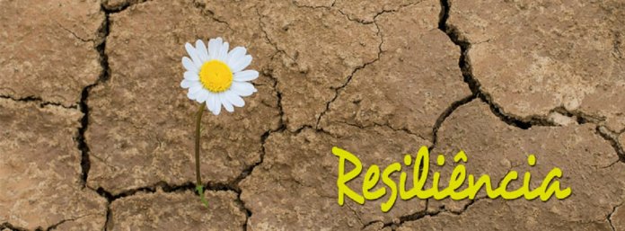 resiliencia
